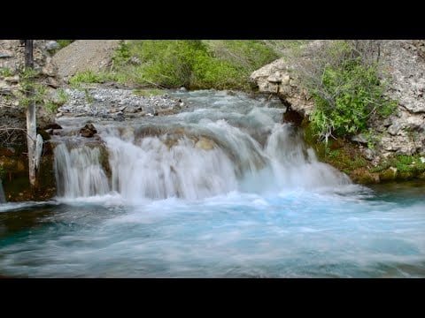 Lower Cedar Creek - Illustrated Expeditionary Journals of an Idahoan (TIS306)