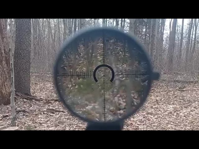 22 cal at 200 yds with Primary Arms PLX 1-8 M8 raptor