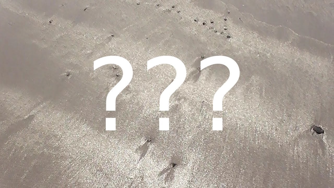 Do You See What I See? (Gold Analogy)