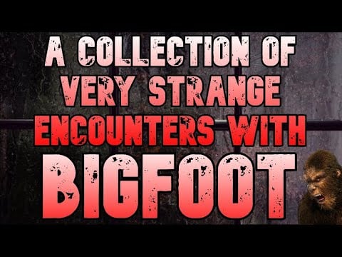 A COLLECTION OF VERY STRANGE ENCOUNTERS WITH BIGFOOT