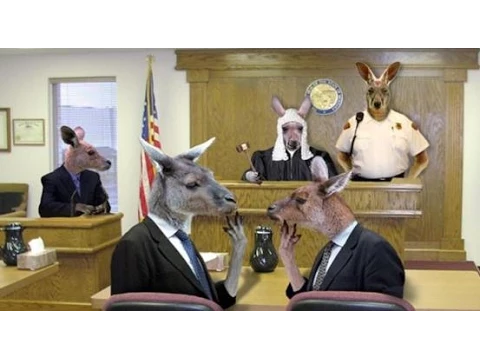 Void Judgments = no jurisdiction - DO NOT give them jurisdiction!! - Satanic Kangaroo Courts 16