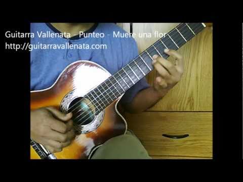 Mi GuitarraVallenata