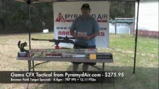 Gamo CFX Tactical - Not the most powerful, but certainly accurate
