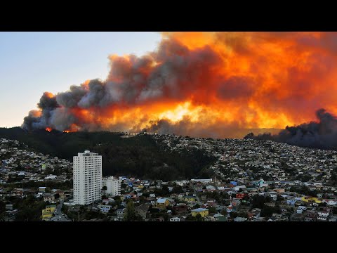 Forest fire hits Chile  Wildfire hit Collipulli, Araucania