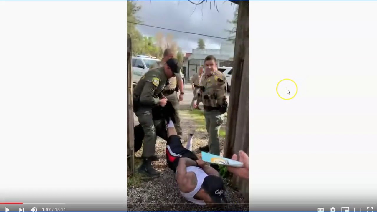 Earning The Hate - More Police K-9 Abuse From Sonoma County Sheriff