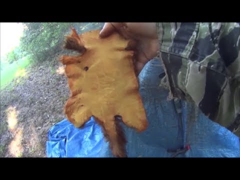 Easy Squirrel Hide Tanning with Eggs Part 2