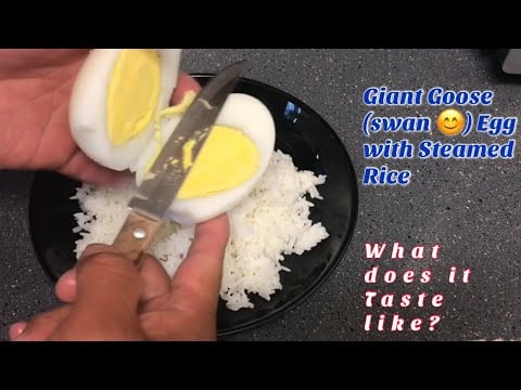 What Does Goose Egg🥚Taste Like?