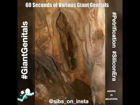 🔞  60 Seconds of Giant Genitals  🔞