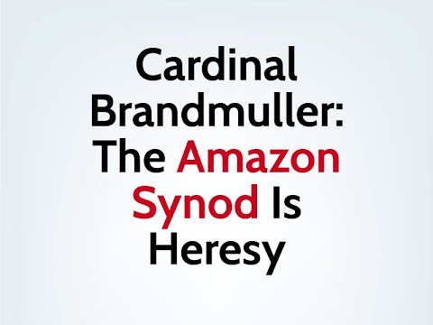 Cardinal Brandmuller: The Amazon Synod is Heresy