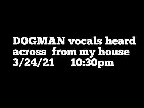 DOGMAN VOCALS third night in a row!