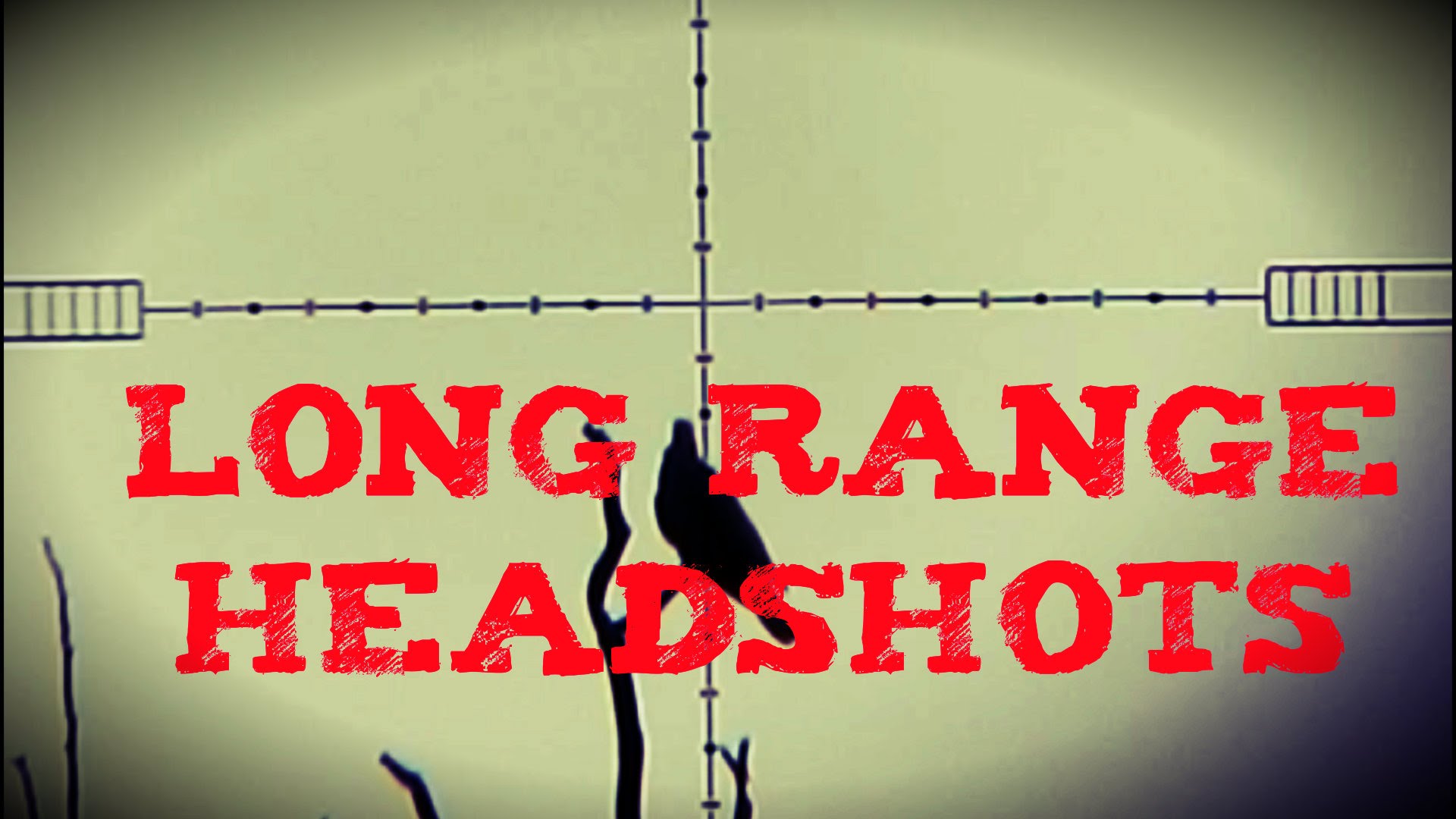 Long range headshots - Daystate Wolverine .22 B