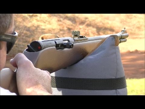 Mexsar / Puma .22 Rifle Review