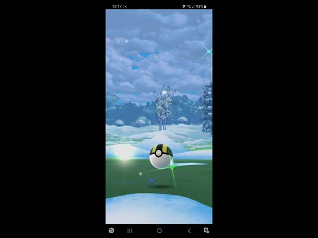 Pokémon GO-Shiny Swinub