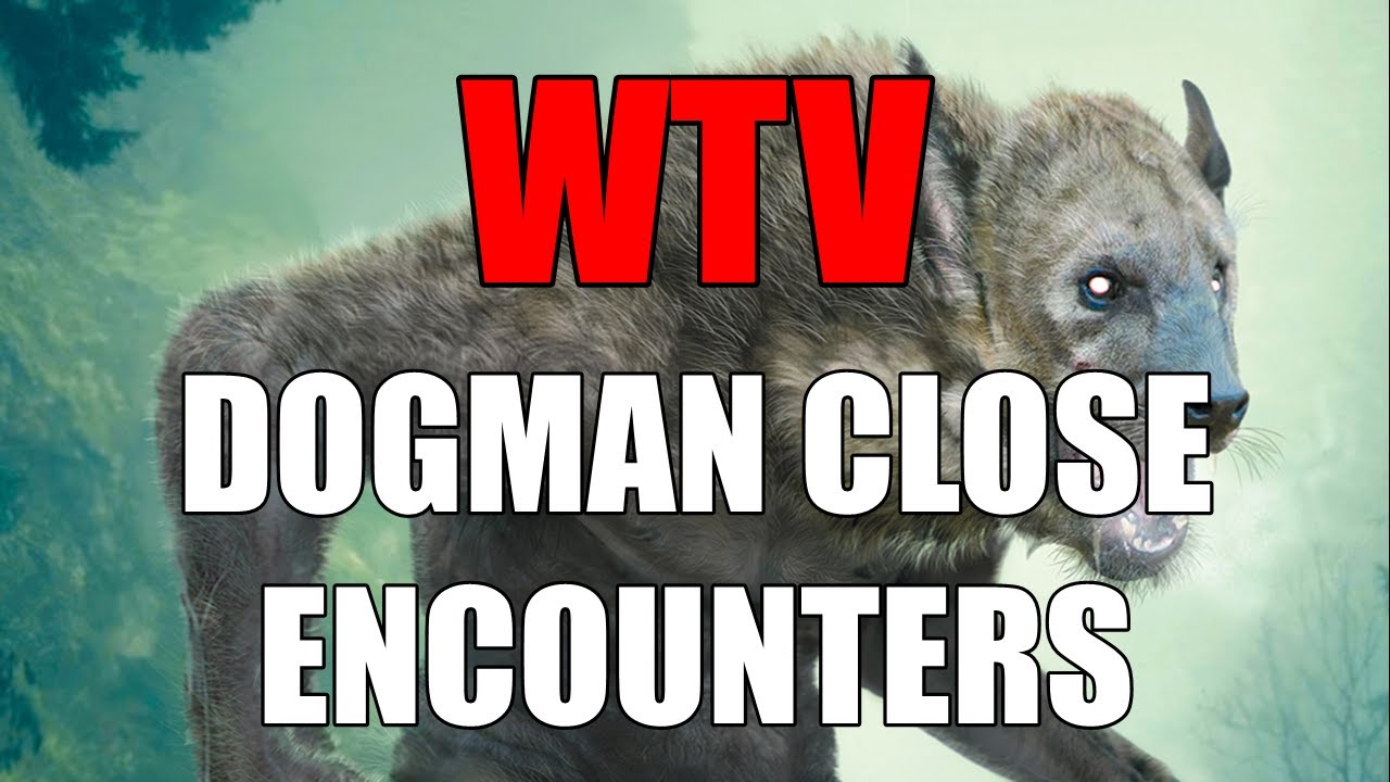What You Need To Know About DOGMAN CLOSE ENCOUNTERS