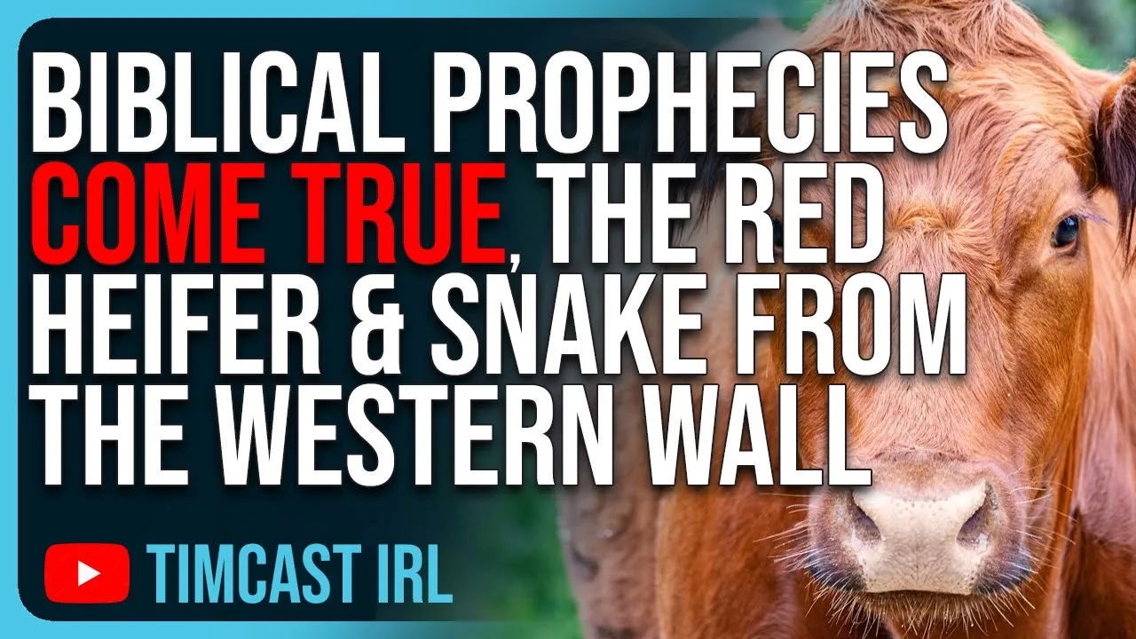 Biblical Prophecies COME TRUE, The Red Heifer & The Snake From The Western Wall