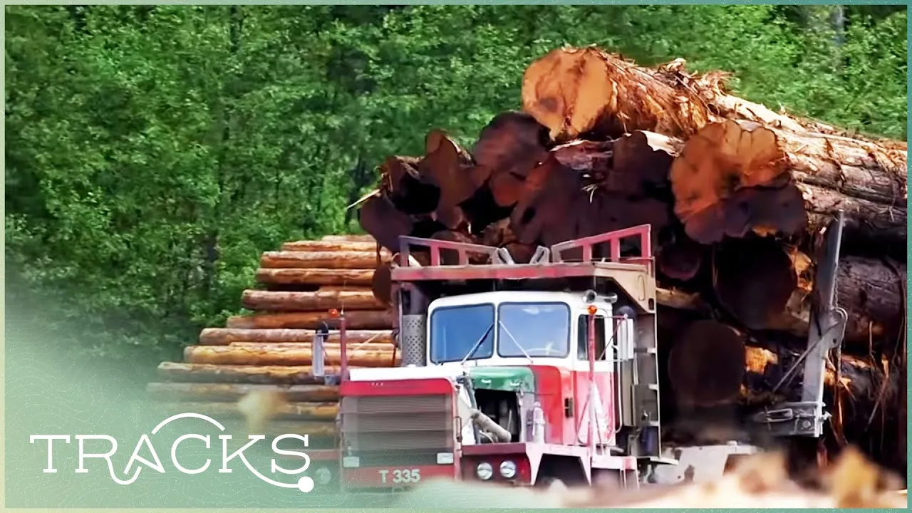 TIMBER! Real Lumberjacks Of Canada