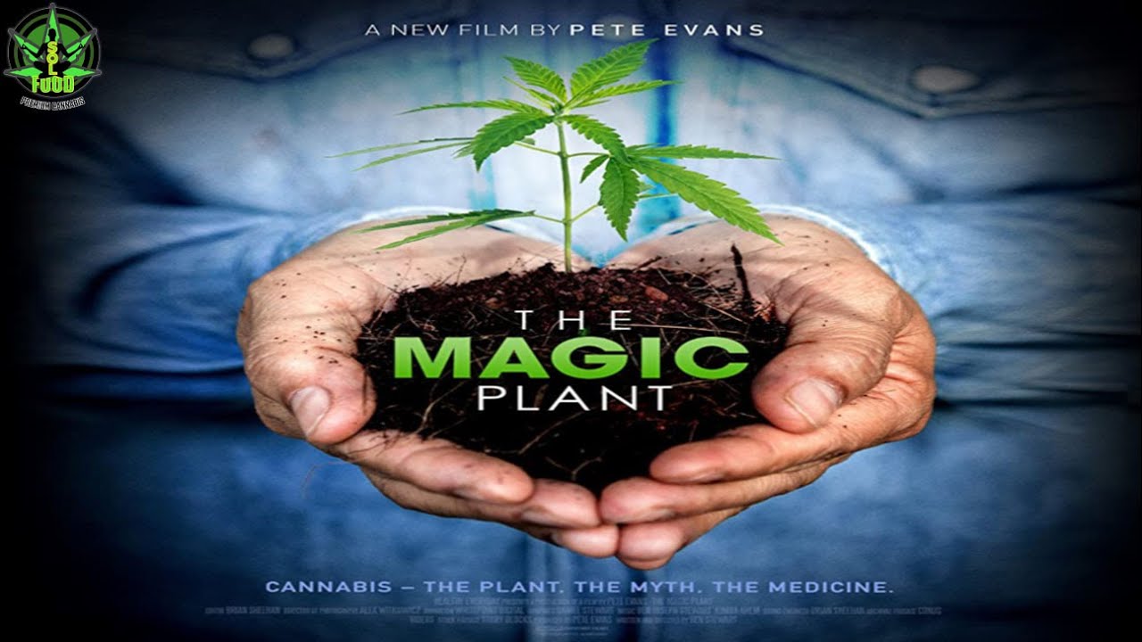 The Magic Plant - Cannabis -The Magic Plant: Cannabis explores the cutting edge scientific research surrounding Cannabis