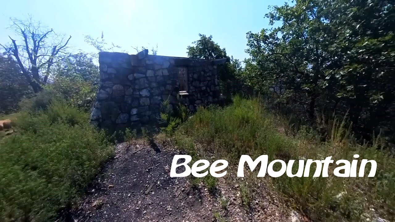 Exploring with Moose and Mindy #3 - Bee Mountain