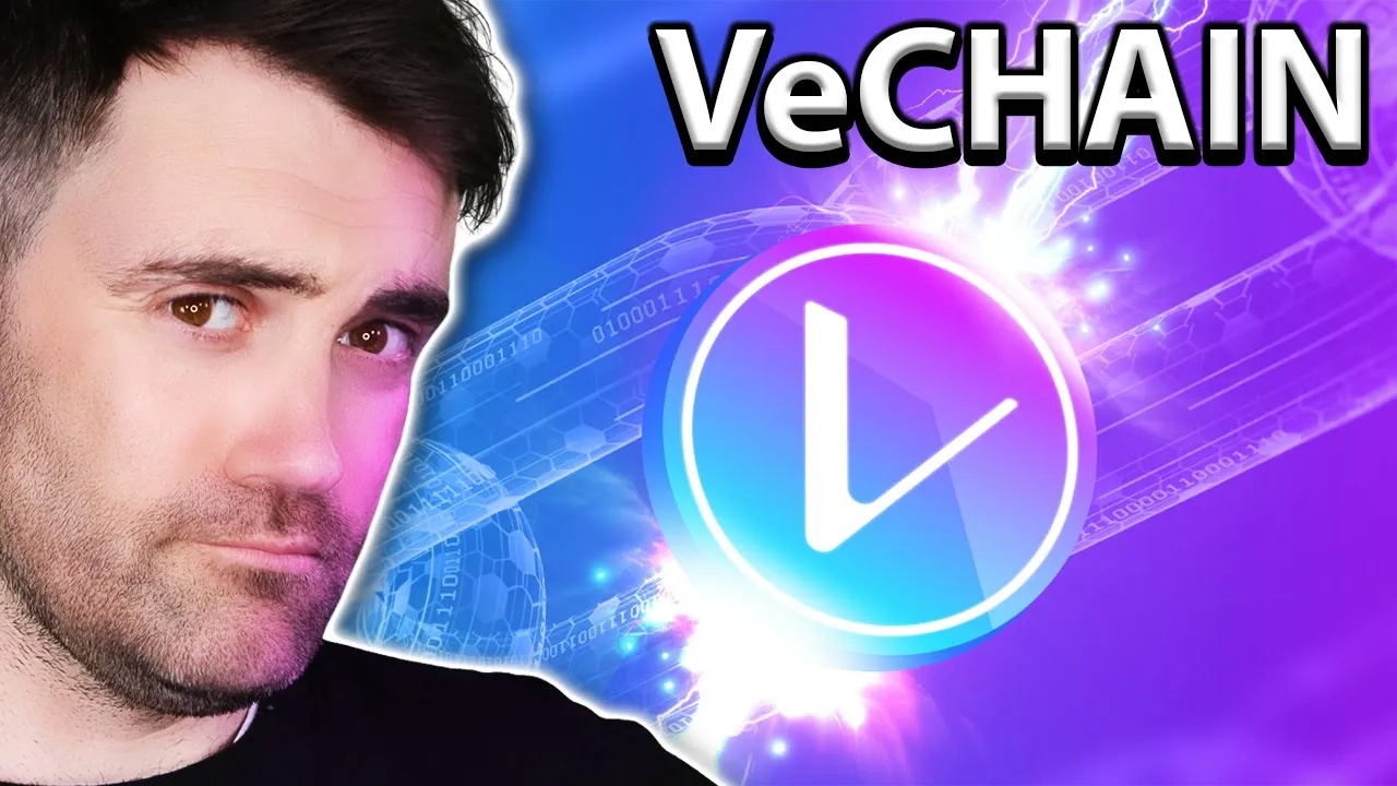 VeChain: VET Price Potential?! Deep Dive Analysis!!