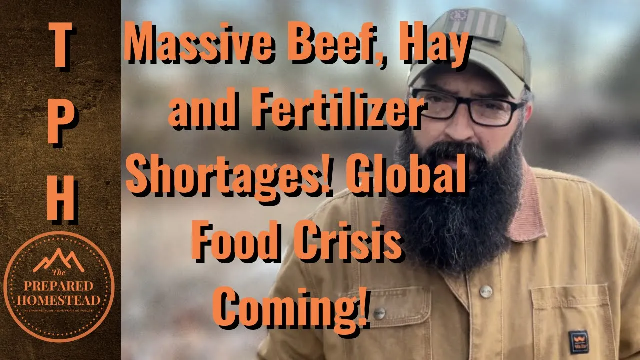 Massive Beef, Hay and Fertilizer Shortages! Global Food Crisis Happening!
