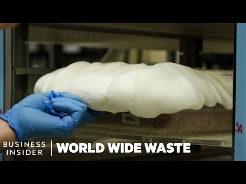 How Mushrooms Are Turned Into Bacon And Styrofoam | World Wide Waste