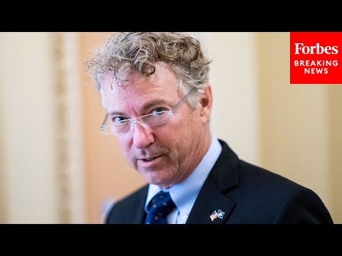 'It Was Tragic But Somewhat Hilarious': Rand Paul Decries Dadaist Art Lessons In Afghanistan
