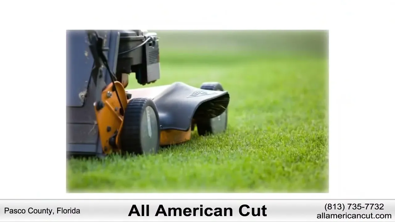 Lawn Mowing Services near Port Richey, Florida
