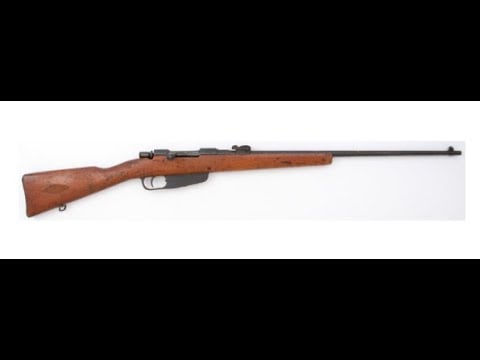 1896 Carcano Rifle Review...Should you buy one?