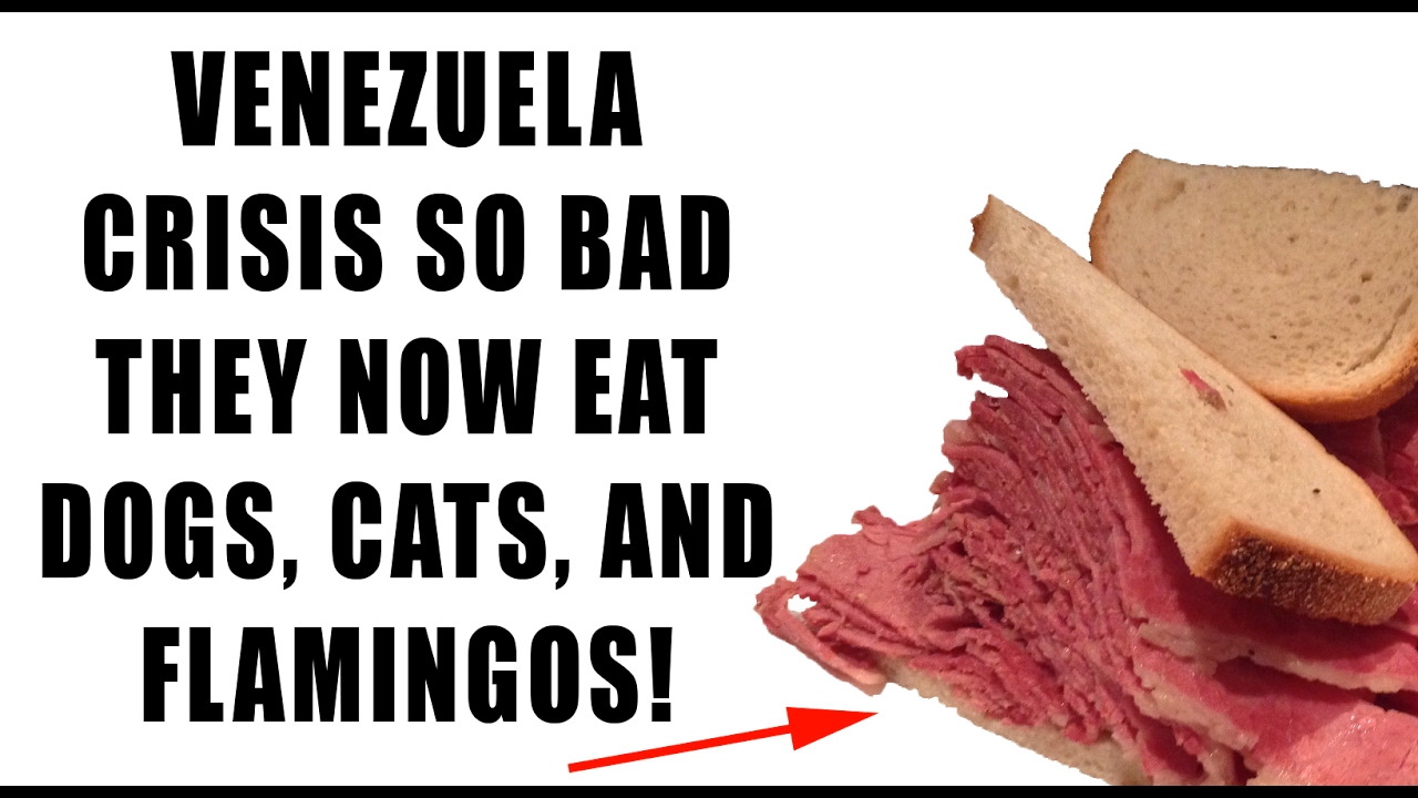 Venezuela Crisis So Bad They Eat Dog, Cat, Flamingo Amid MASSIVE FOOD SHORTAGE!