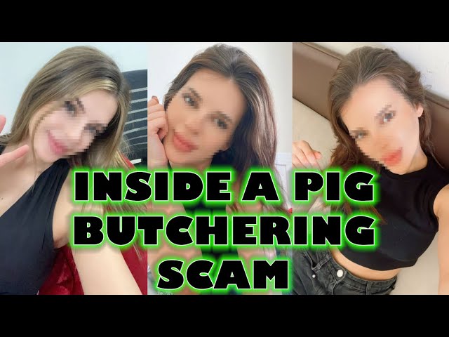Inside a Pig Butchering Scam