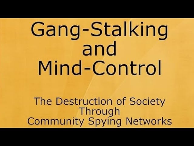 WHAT IS GANG STALKING?! (PERFECTLY DESCRIBE). #documentary #blacktrumanshow #fypviral