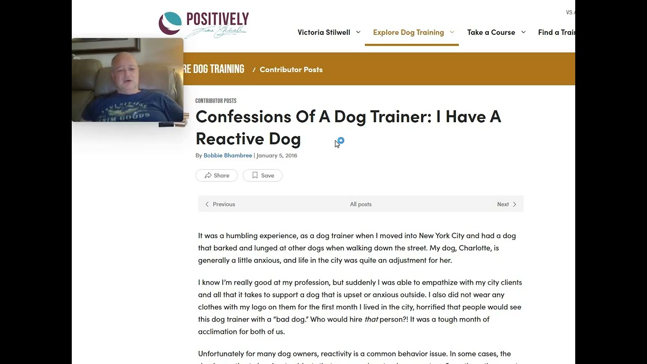 Confessions Of A Dog Trainer: I Have A Reactive Dog - The Entitlement and Hypocrisy of Dog Training