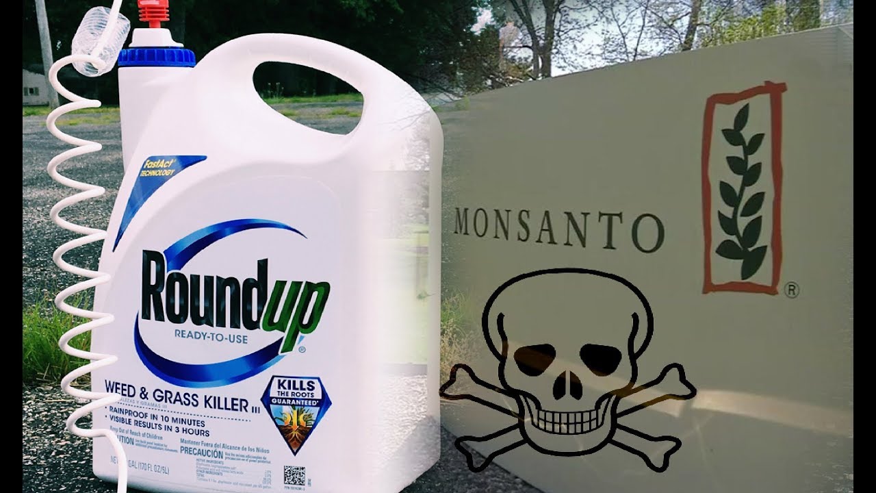 Monsanto Lawsuit: Corporate Immunity & Regulatory Capture