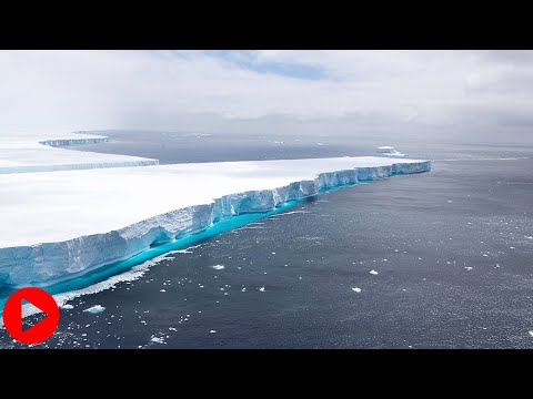 A68: Iceberg that became a social media star melts away