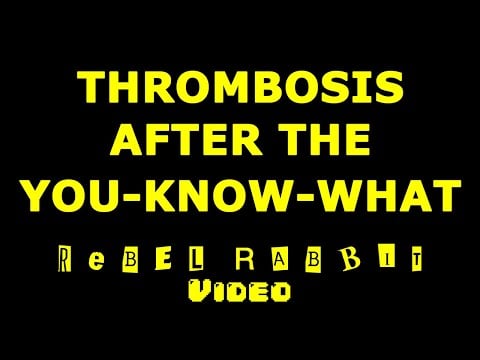 Official Documents About Thrombosis Occurring After The Jab // Rebel Rabbit Video