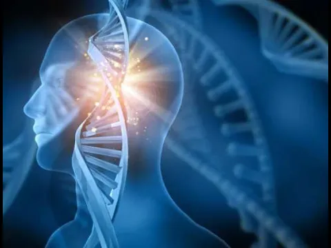 Contenedores de ADN y la trampa de la reencarnación
