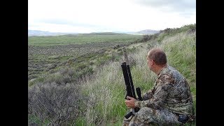 Airgun Hunting Black Tailed Jackrabbits, (R) Adventure Series