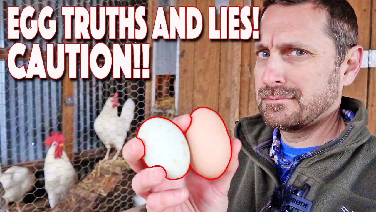 Tractor Supply Chicken Feed No Eggs! The TRUTH And A Warning!