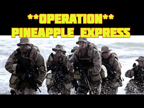 Operation ‘Pineapple Express’ – Rogue Team of Retired US Vets Rescue Afghan Allies