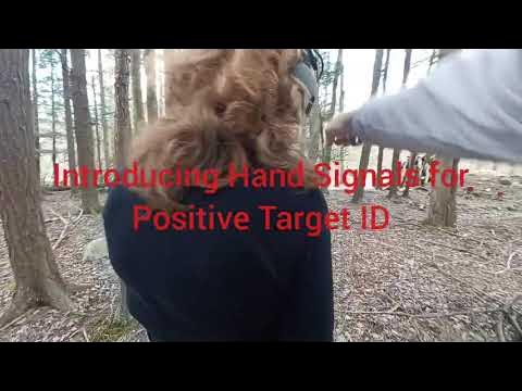 Hand Signals for Positive Target ID - CCW Training PA