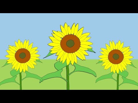How to draw a sunflower, draw flowers, #Kids, #YouTubeKids