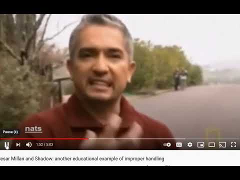 Cesar Millan and Shadow - A Power Play - Flipping the Script