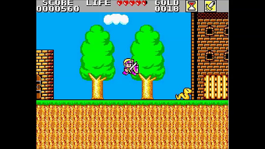 Wonder Boy in Monster Land - Sega Master System - Gameplay