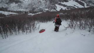 Sled System for Hauling Deer & Elk in Snow