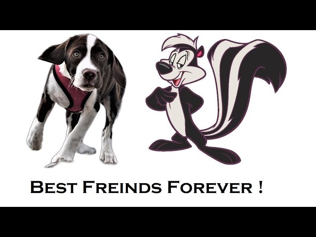 SKUNK ODOR REMOVER