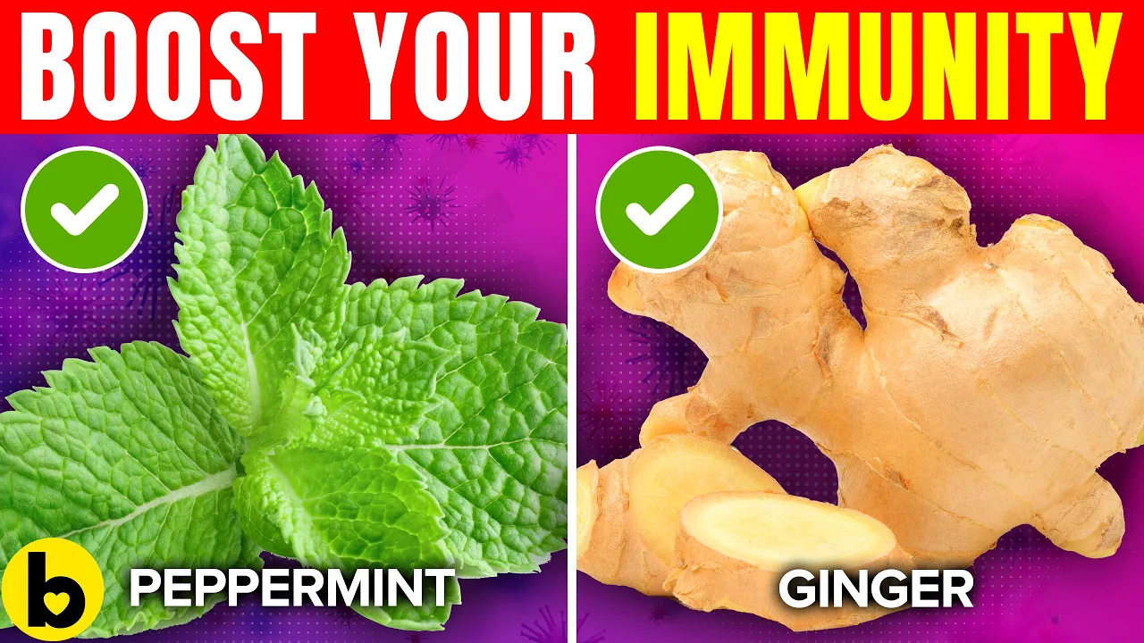 10 Antiviral Herbs To Boost Your IMMUNITY And KILL Viruses
