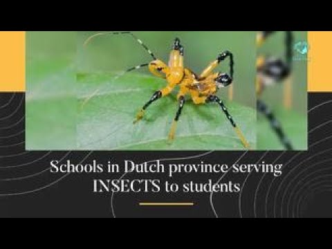 Schools in Dutch province feeding INSECTS to students.