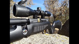 Cometa Lynx V10 Airgun review/hunt
