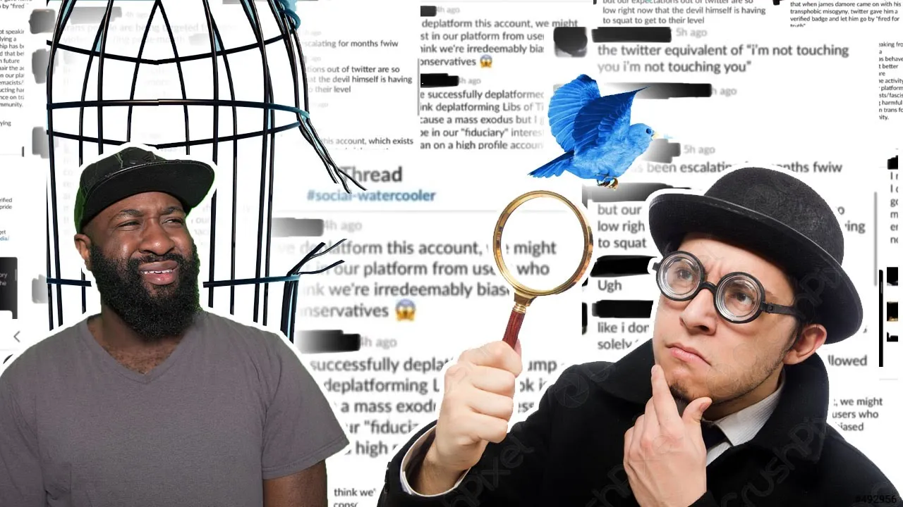 Twitter is an internal (biased) mess | Leaked messages from employees [YoungRippa59]