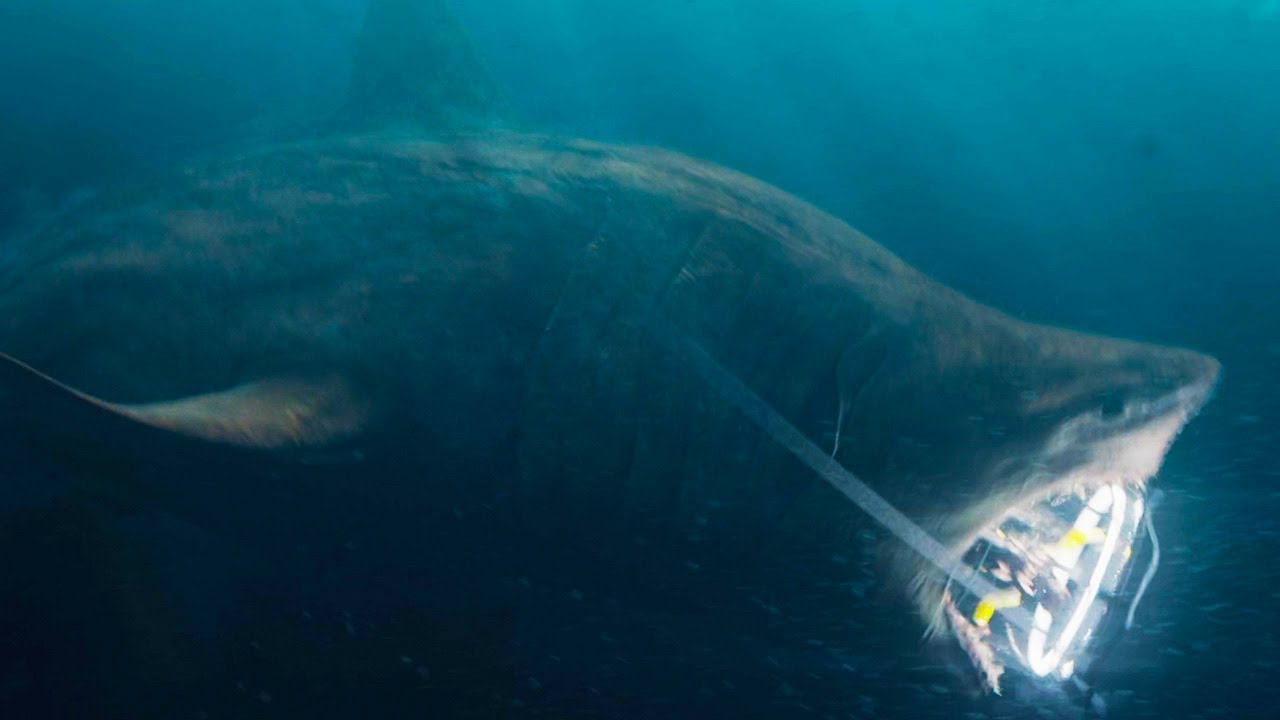 OpenLoad™Watch The Meg Online Full HD